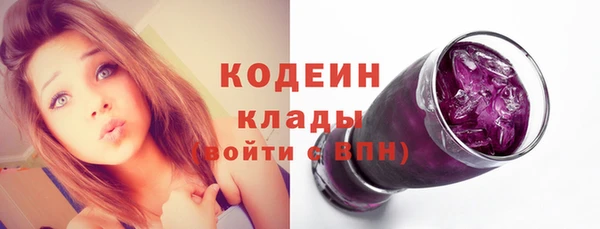 соль ск Гусев
