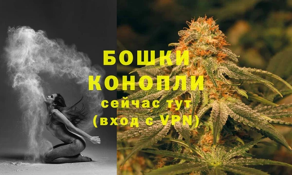 прущие грибы Горно-Алтайск