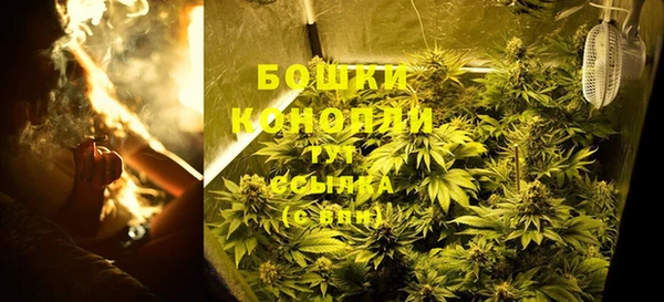 СК Гусь-Хрустальный