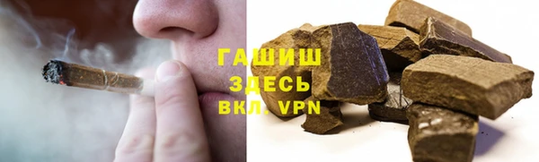 прущие грибы Горно-Алтайск