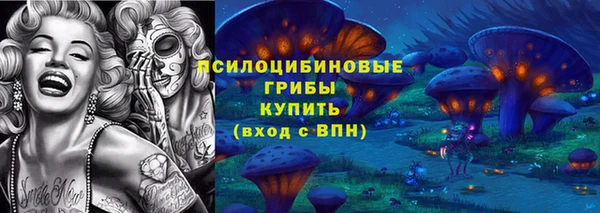 крисы Гусиноозёрск