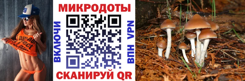 Галлюциногенные грибы мицелий  Джанкой 